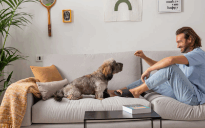 Más amor, menos manchas: aquaclean extreme para hogares con mascotas